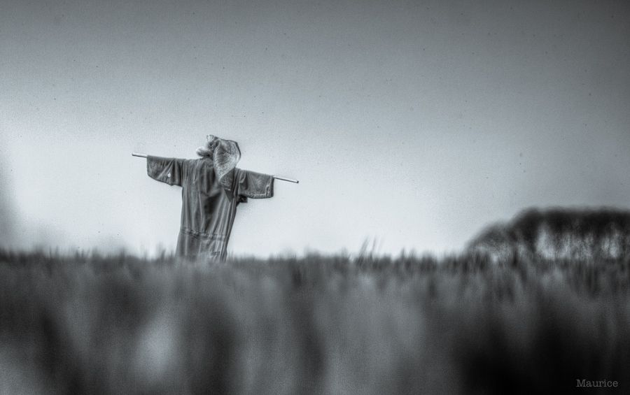 Fotografie