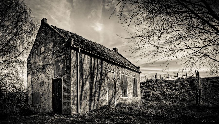 Fotografie