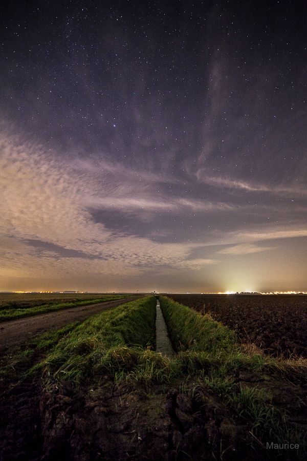 Fotografie