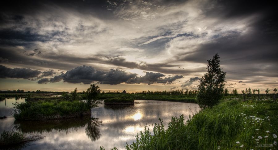 Fotografie