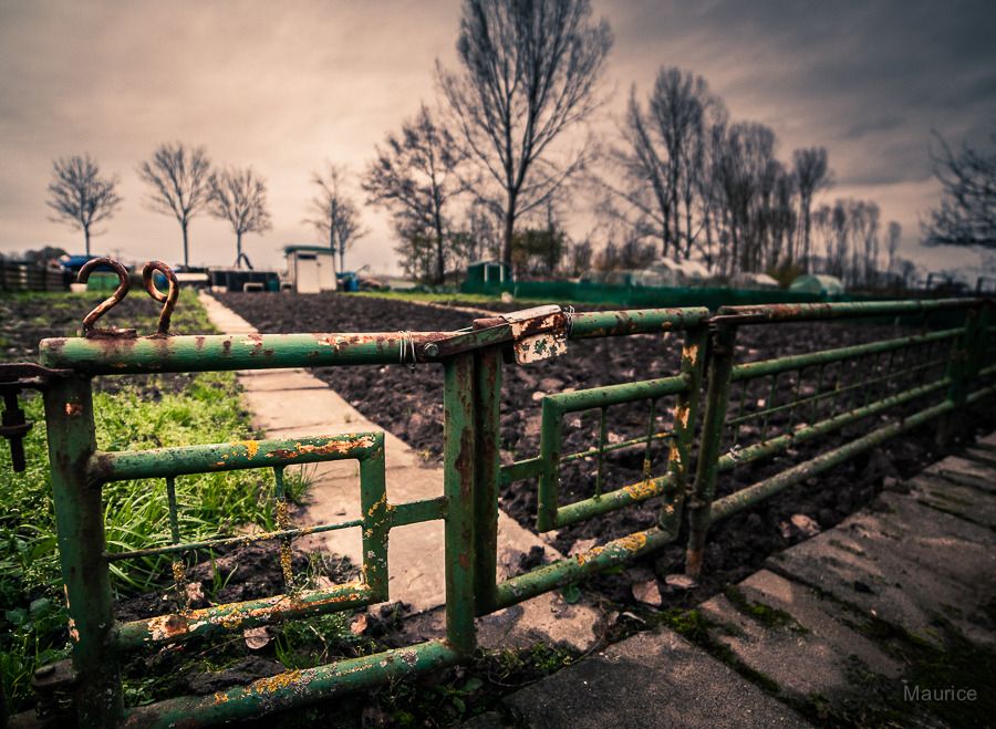Fotografie