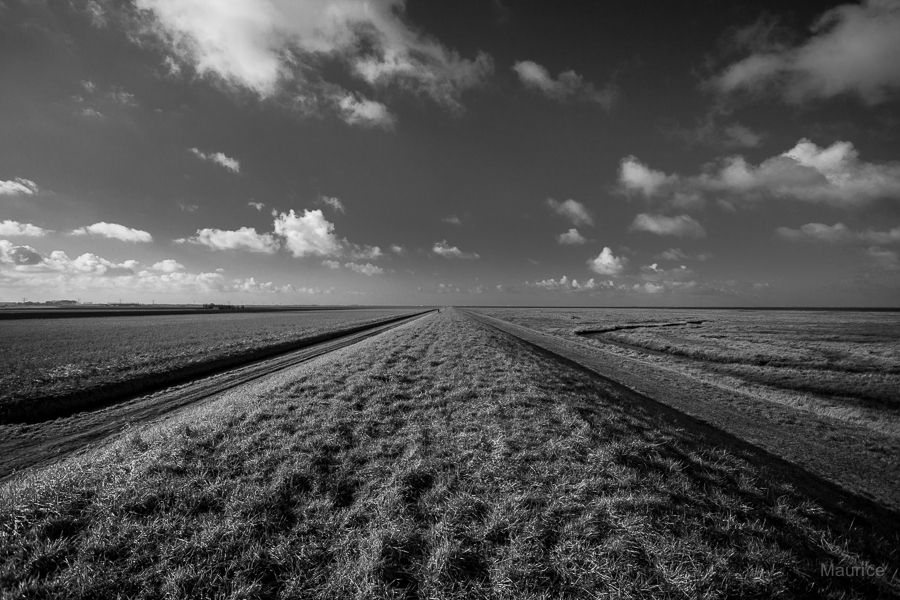 Fotografie