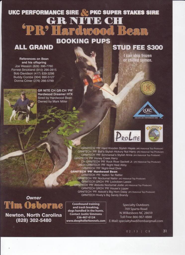 UKC Forums Southeastern Treeing Walker Days what Studs are coming?