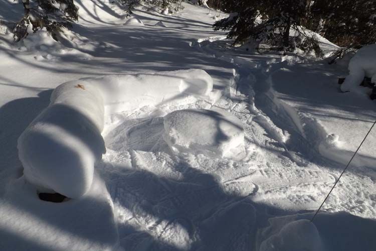 Maine Guide Snowshoes