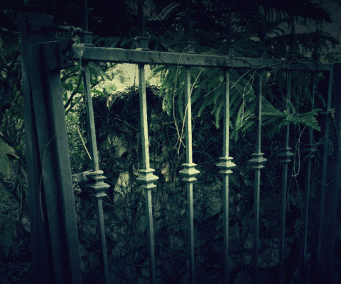 photo tumblr_mka7u0XZK81rvq9xoo1_500_zps8a7c0f1d.gif