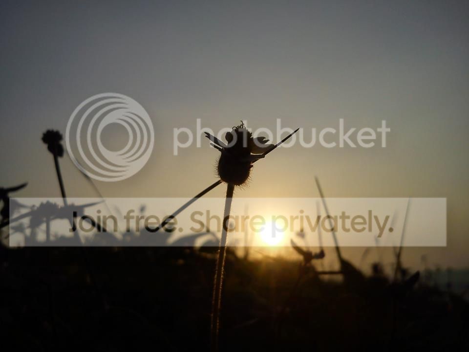 Sunset-SEXperiamini_zpsea66450b.jpg