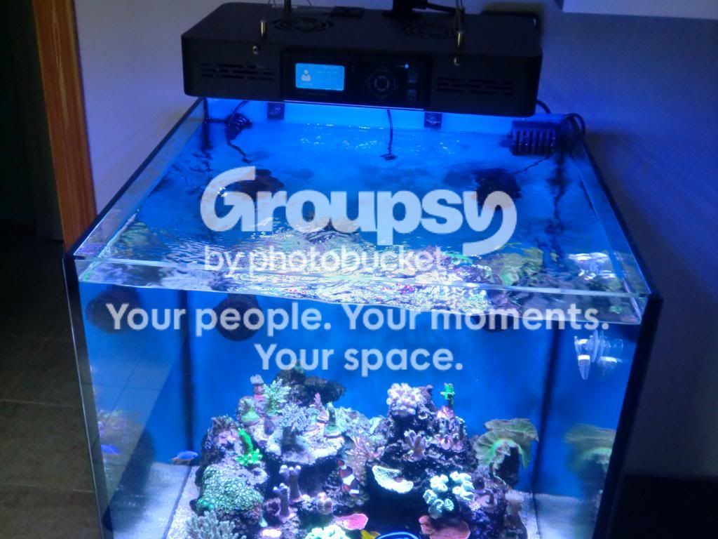 [TodoMarino.com] Alba Cube Reef